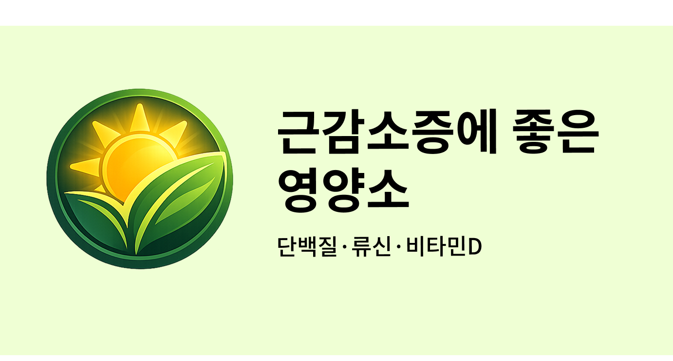근감소증에 좋은 영양소
