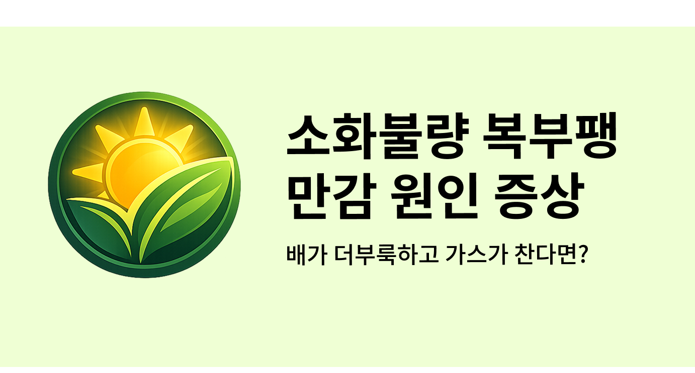 소화불량 복부팽만감 원인 증상