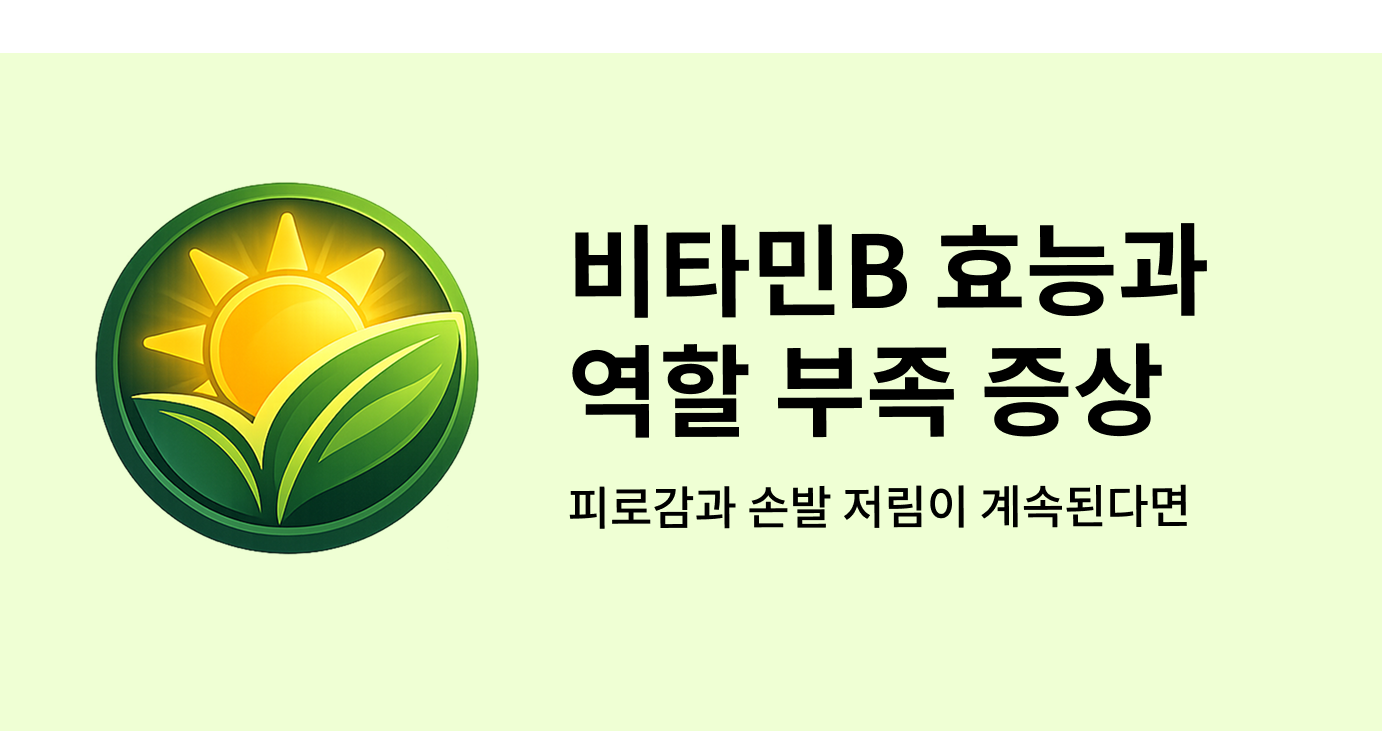 비타민B 효능과 역할 부족 증상