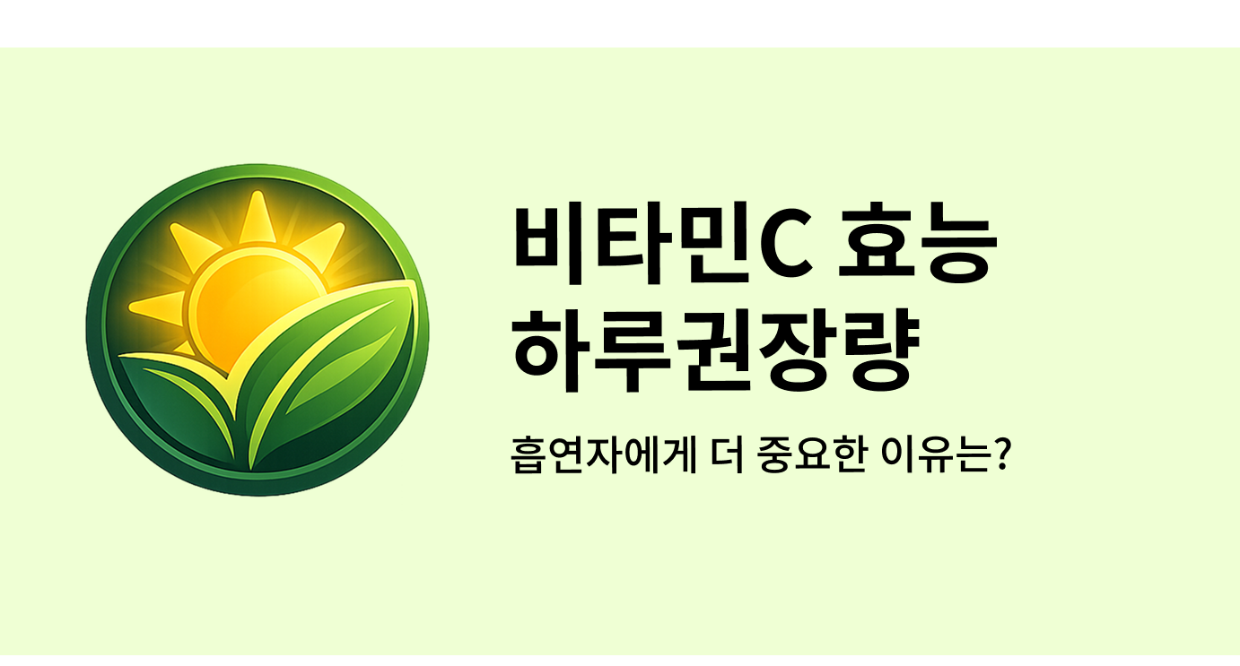 비타민C 효능 하루권장량