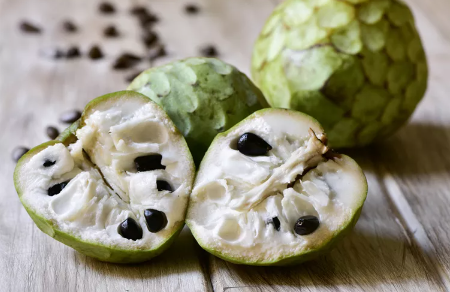 체리모야