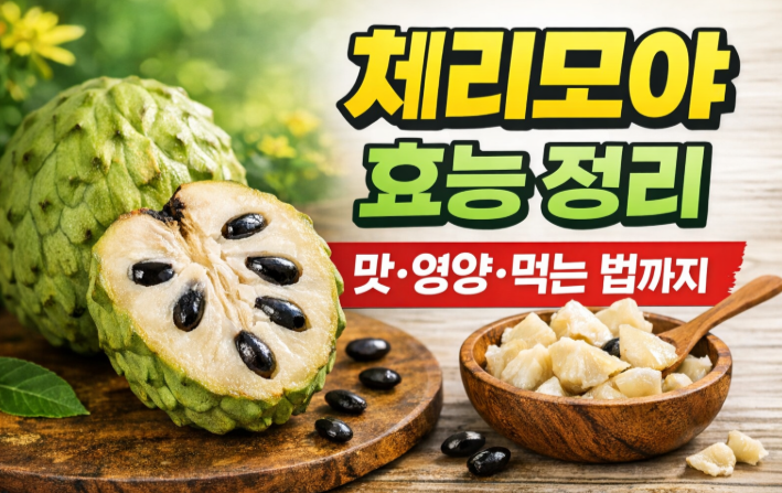 체리모야 효능 정리