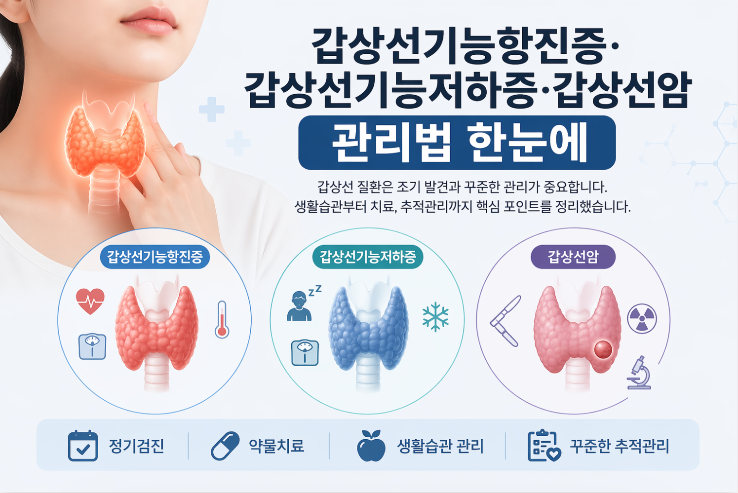 갑상선기능항진증·갑상선기능저하증·갑상선암 관리법 한눈에 2 갑상선기능항진증·갑상선기능저하증·갑상선암 관리법 한눈에