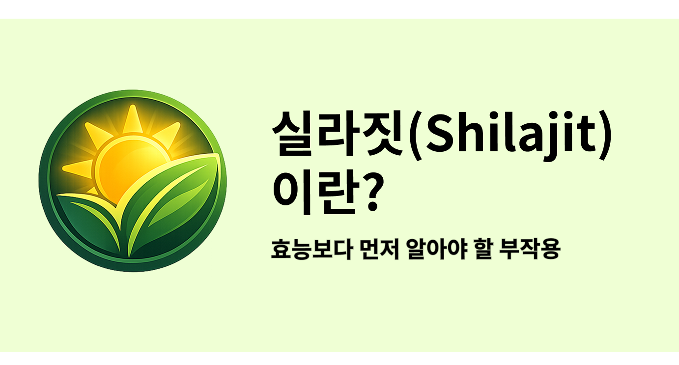 실라짓(Shilajit)이란? 효능보다 먼저 알아야 할 부작용과 통관 주의사항