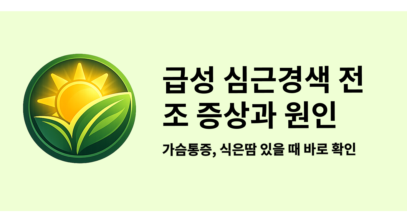 급성 심근경색 전조 증상과 원인 가슴통증, 식은땀 있을 때 바로 확인할 것