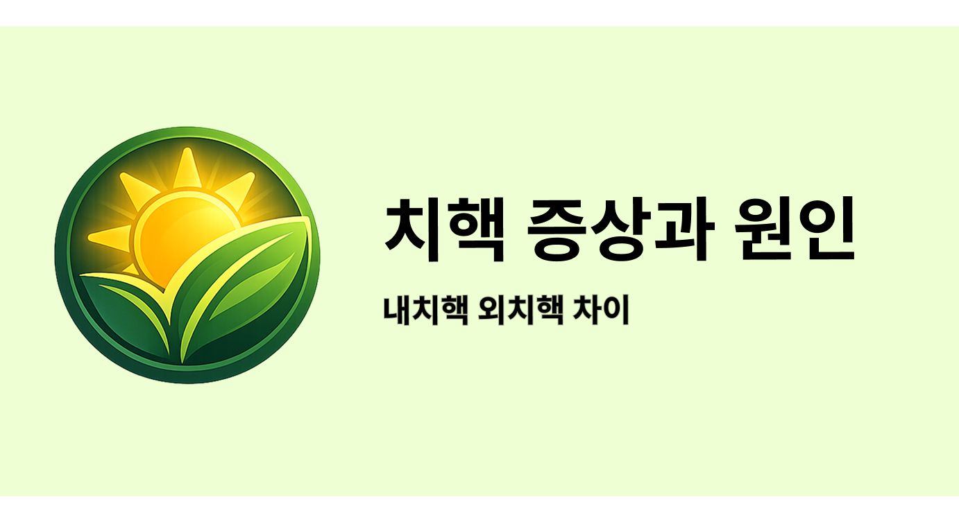 치핵 증상과 원인 - 내치핵 외치핵 차이