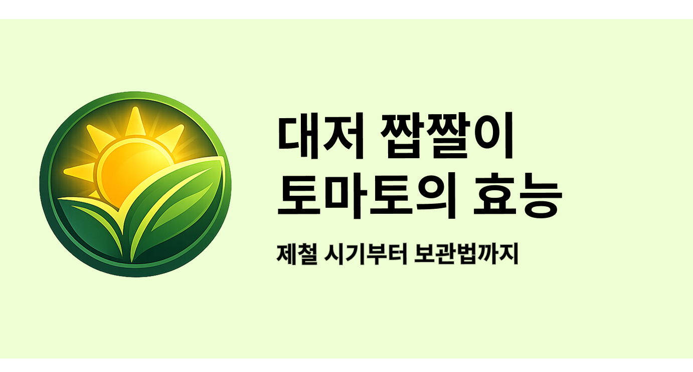 대저 짭짤이 토마토의 효능 제철 시기부터 보관법까지