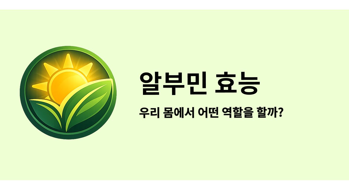 알부민 효능 우리 몸에서 어떤 역할을 할까?
