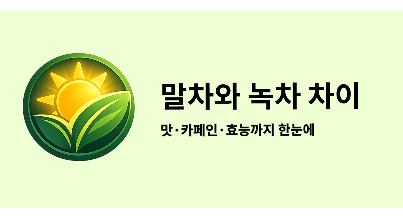말차와 녹차 차이, 맛·카페인·효능까지 한눈에