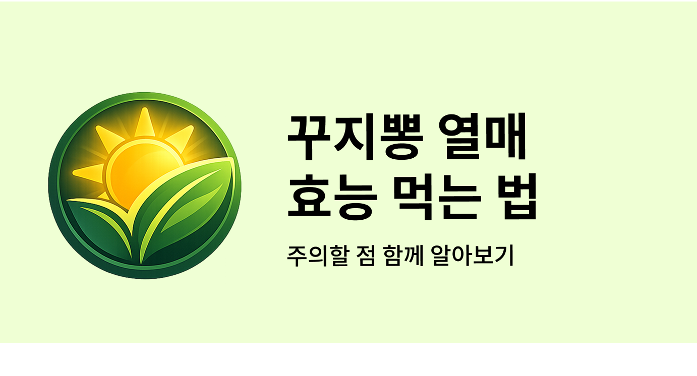꾸지뽕 열매의 효능 먹는 법