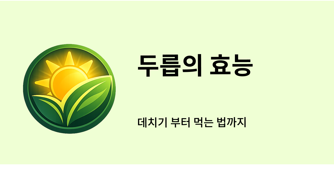 두릅의 효능 데치기 부터 먹는 법까지