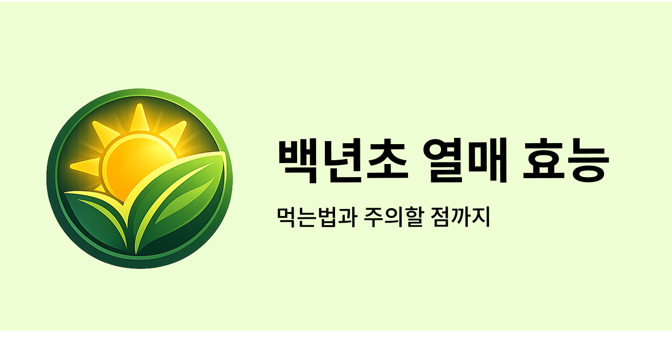 백년초 열매 효능 먹는법과 주의할 점까지