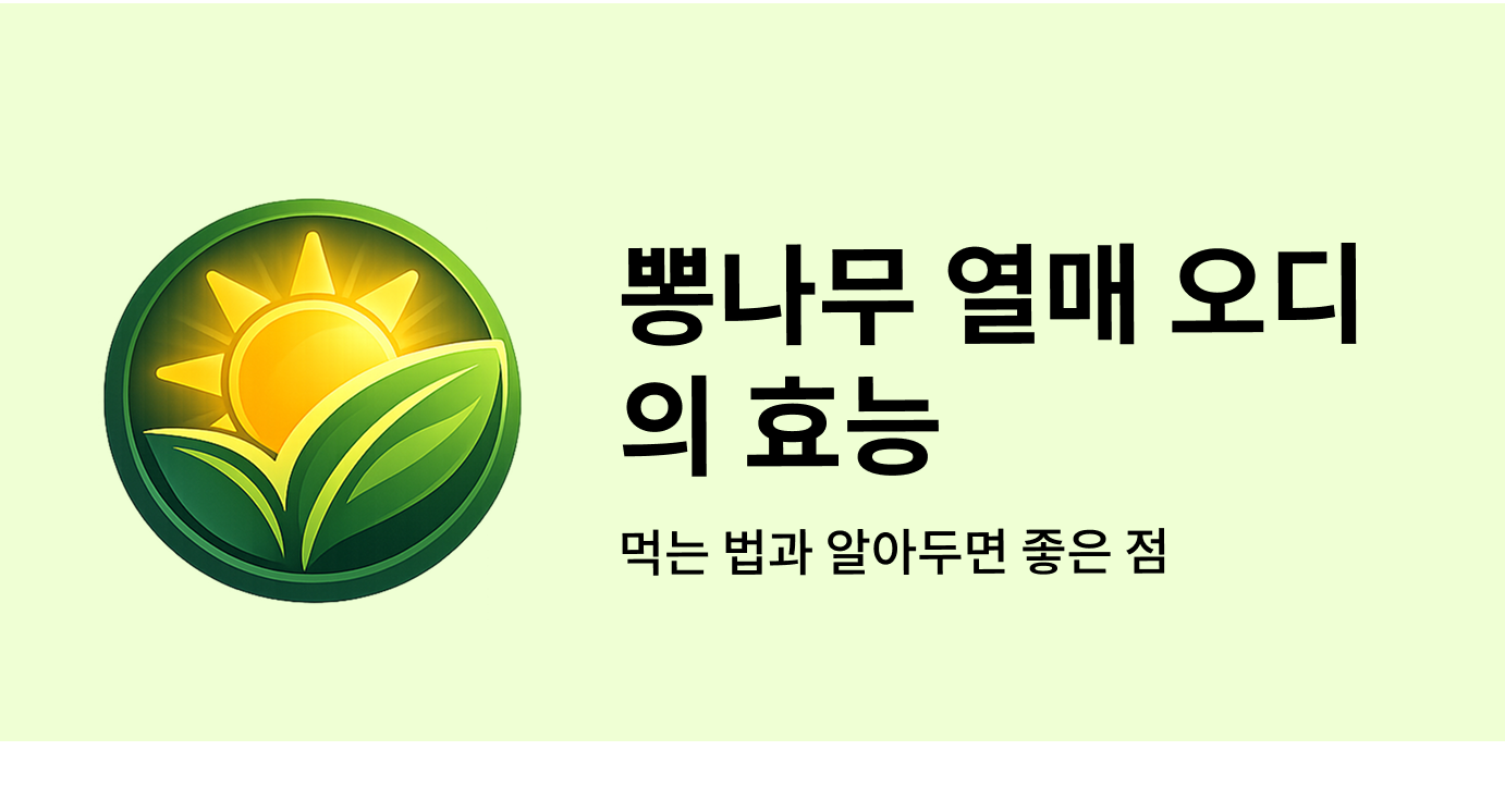 뽕나무 열매 오디의 효능과 먹는 법, 알아두면 좋은 점
