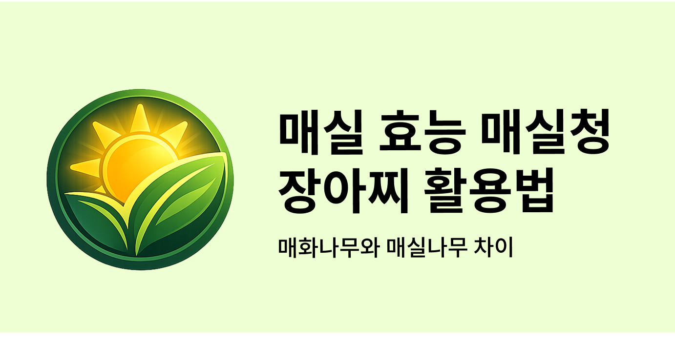 메실 효능 매싱청 장아찌 활용법 매화나무와 매실나무 차이