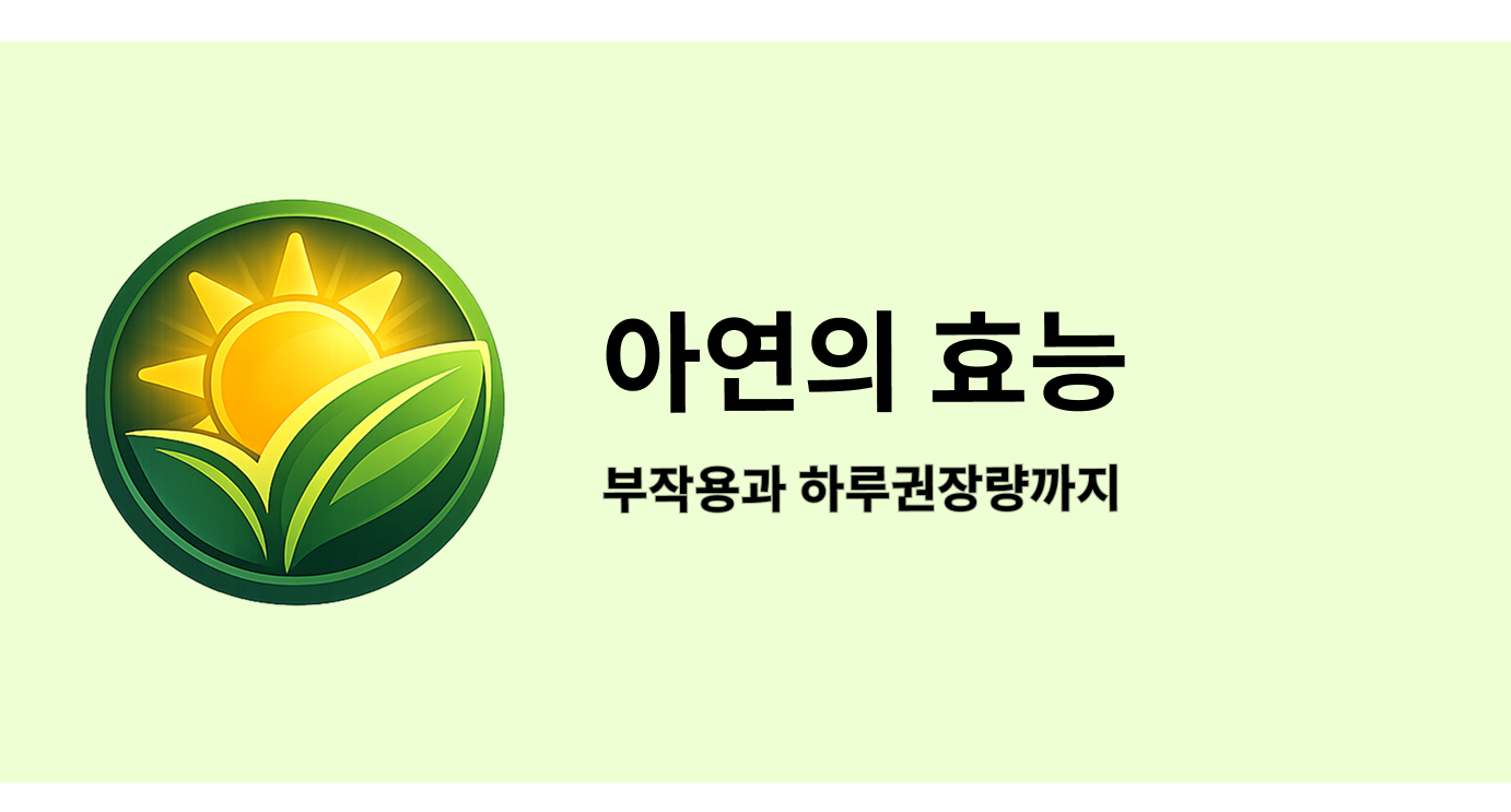 아연의 효능 부작용과 하루권장량까지