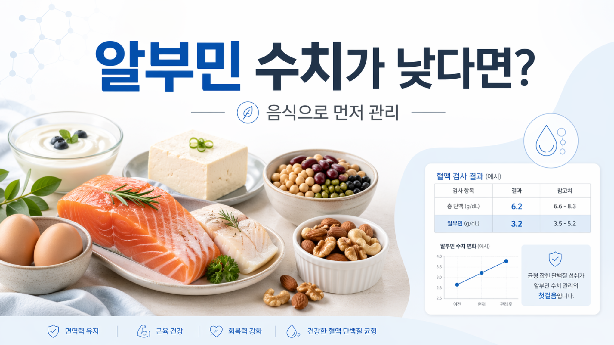 알부민 수치가 낮다면? 음식으로 먼저 알아보는 관리 정보