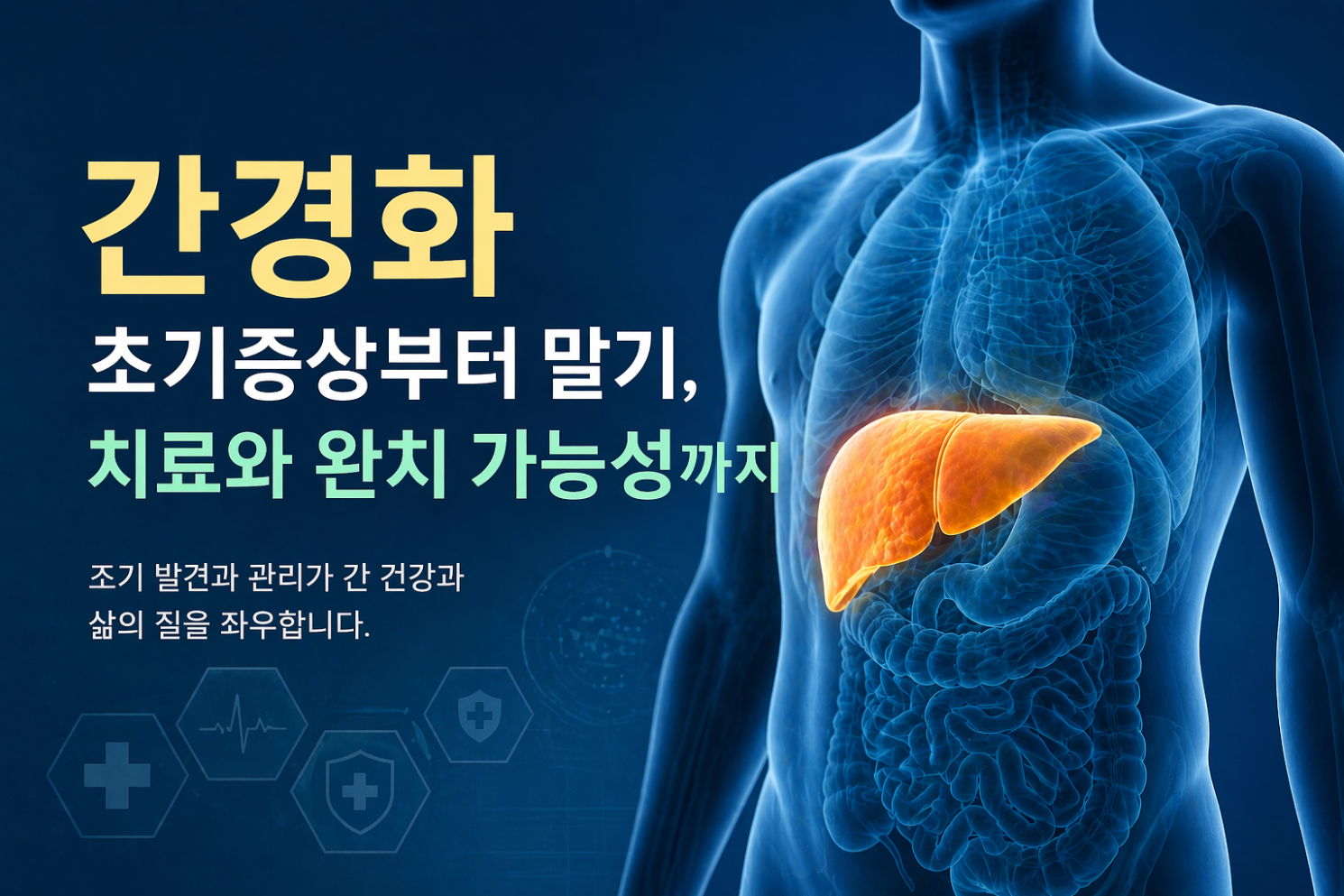 간경화 초기증상부터 말기, 간경화 치료와 완치 가능성까지