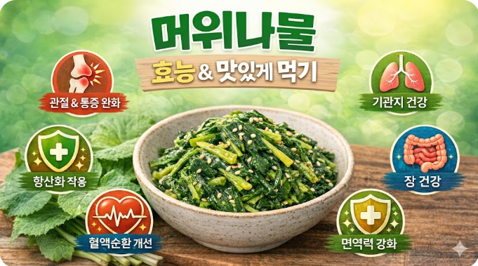 머위나물 효능& 맛있게 먹기