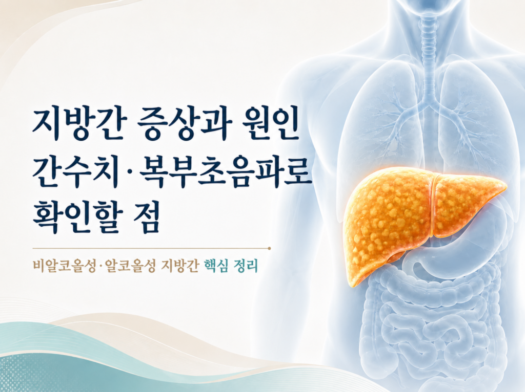 지방간 증상과 원인, 간수치·복부초음파로 확인할 점 2 지방간 증상과 원인, 간수치·복부초음파로 확인할 점