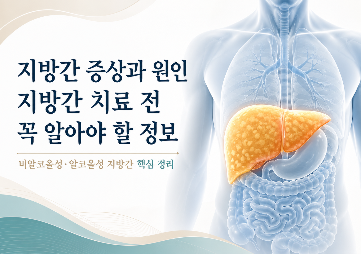 지방간 증상과 원인, 지방간 치료 전 꼭 알아야 할 정보